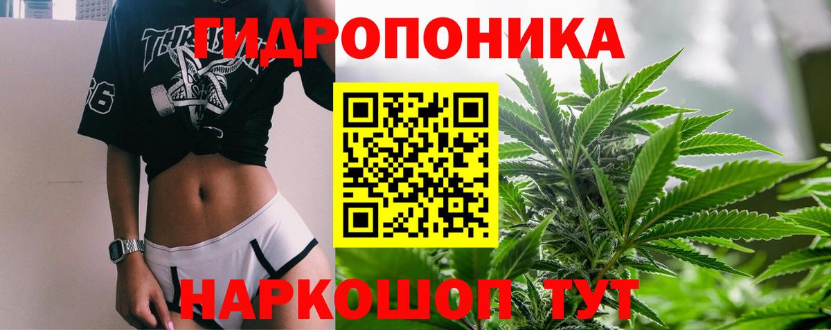 Бошки марихуана White Widow  Каннабис THC 21%  Вход с VPN  Канабис White Widow  Бошки Шишки сатива  Калуга 